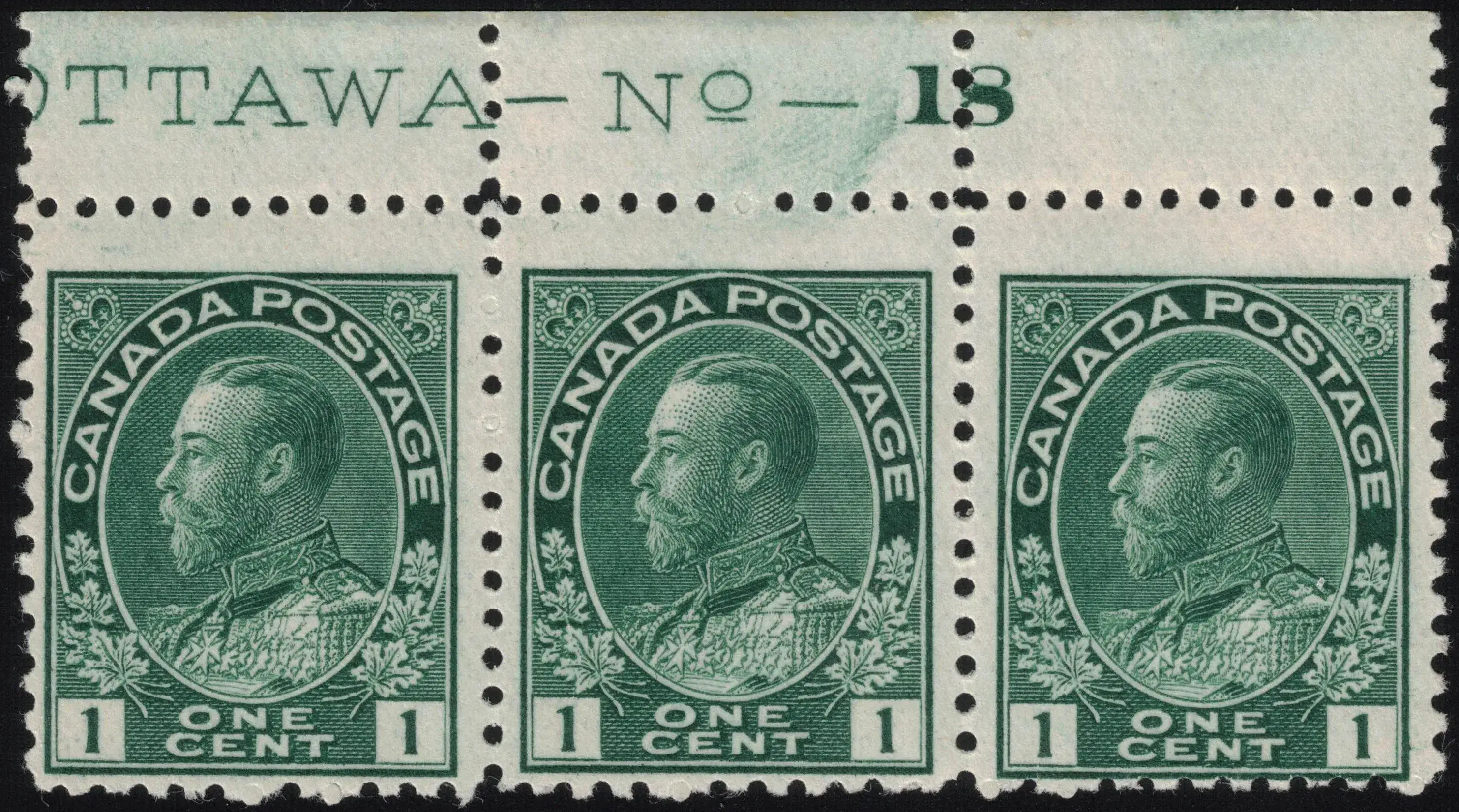 Image provided by Steve Hellsten